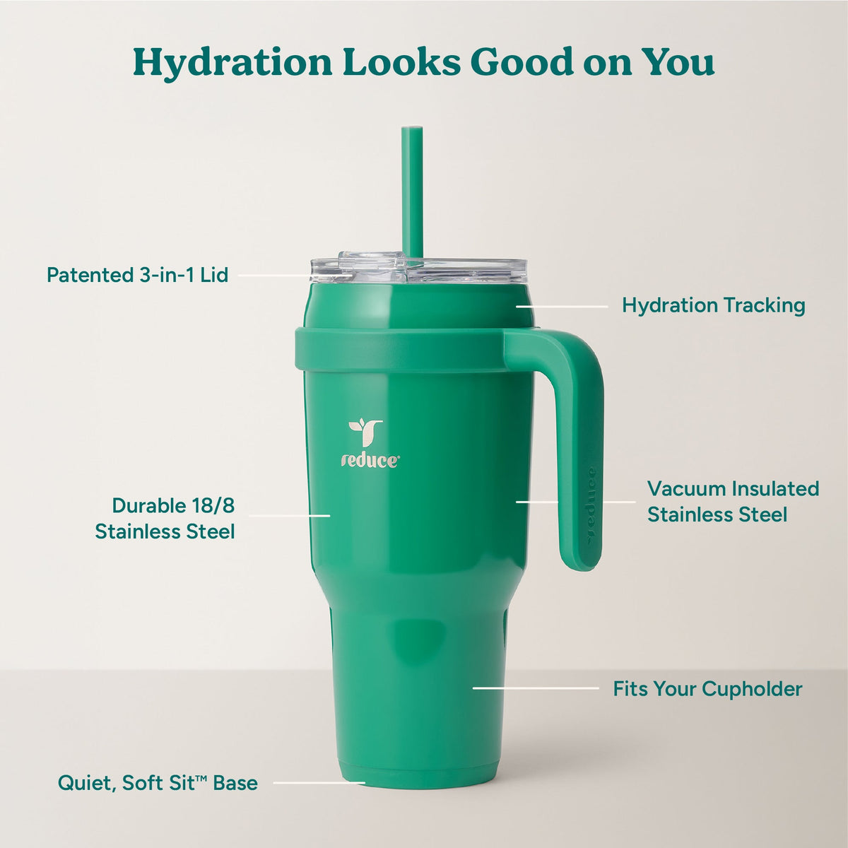 cold1-40-oz-n7 Cold1_40oz_PalmLeaf_Infographic_2.jpg
