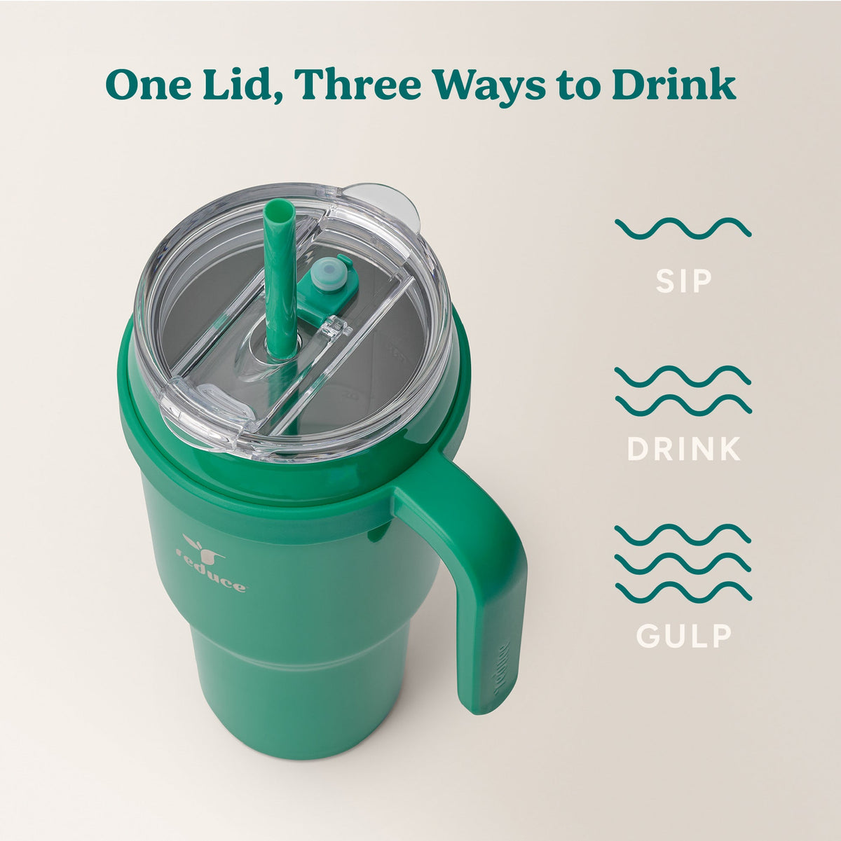 cold1-40-oz-n7 Cold1_40oz_PalmLeaf_Infographic_3.jpg